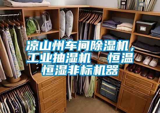 涼山州車(chē)間除濕機，工業(yè)抽濕機  恒溫恒濕非標機器