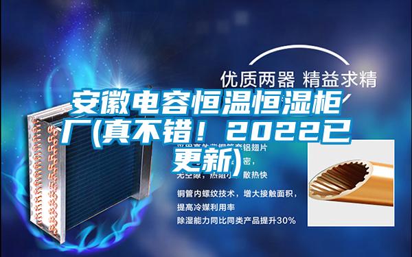 安徽電容恒溫恒濕柜廠(chǎng)(真不錯！2022已更新)