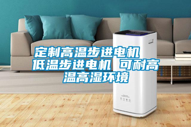 定制高溫步進(jìn)電機  低溫步進(jìn)電機 可耐高溫高濕環(huán)境
