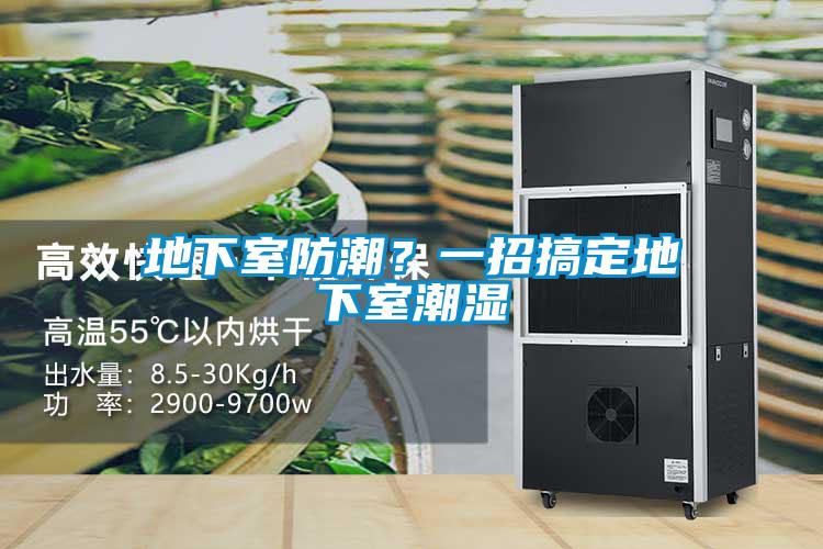 地下室防潮？一招搞定地下室潮濕