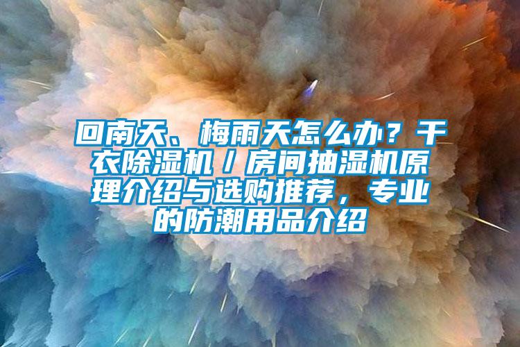 回南天、梅雨天怎么辦？干衣除濕機／房間抽濕機原理介紹與選購推薦，專(zhuān)業(yè)的防潮用品介紹