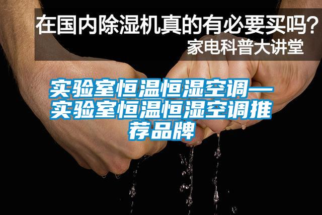 實(shí)驗室恒溫恒濕空調—實(shí)驗室恒溫恒濕空調推薦品牌