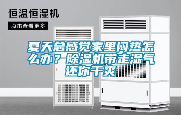 夏天總感覺(jué)家里悶熱怎么辦？除濕機帶走濕氣還你干爽