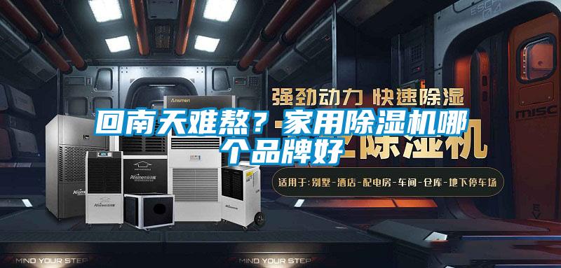 回南天難熬？家用除濕機哪個(gè)品牌好