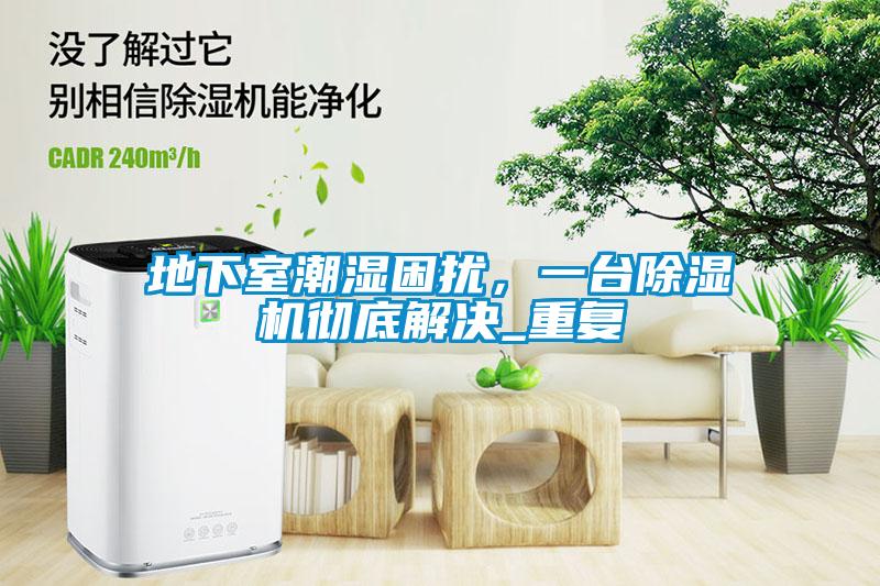 地下室潮濕困擾，一臺除濕機徹底解決_重復