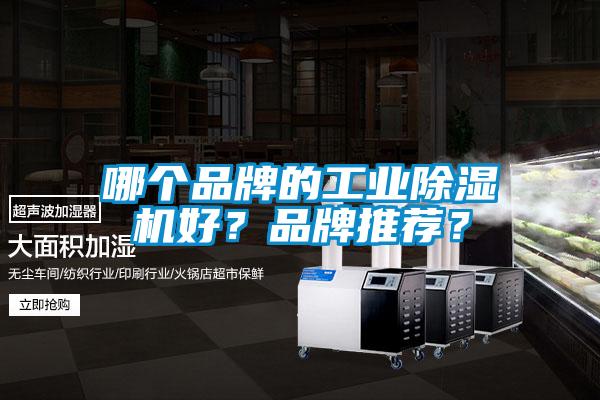 哪個(gè)品牌的工業(yè)除濕機好？品牌推薦？