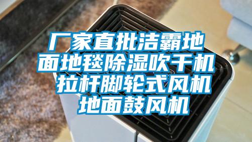廠(chǎng)家直批潔霸地面地毯除濕吹干機 拉桿腳輪式風(fēng)機 地面鼓風(fēng)機