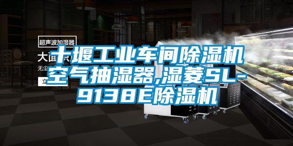 十堰工業(yè)車(chē)間除濕機空氣抽濕器,濕菱SL-9138E除濕機