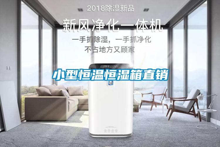 小型恒溫恒濕箱直銷(xiāo)