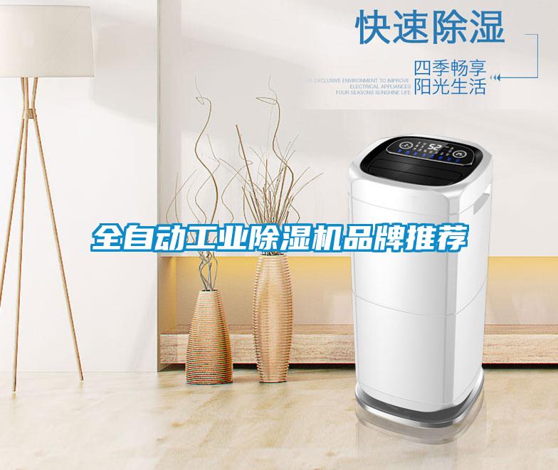 全自動(dòng)工業(yè)除濕機品牌推薦