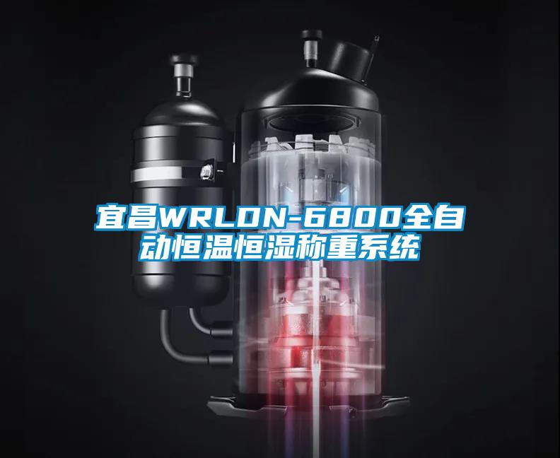 宜昌WRLDN-6800全自動(dòng)恒溫恒濕稱(chēng)重系統