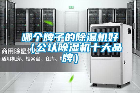 哪個(gè)牌子的除濕機好（公認除濕機十大品牌）