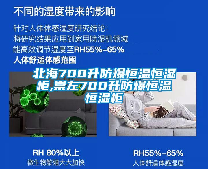 北海700升防爆恒溫恒濕柜,崇左700升防爆恒溫恒濕柜