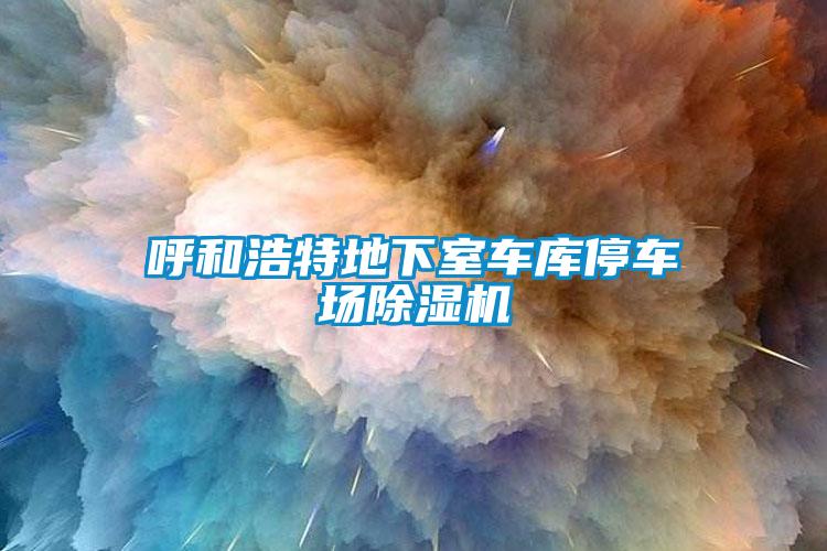 呼和浩特地下室車(chē)庫停車(chē)場(chǎng)除濕機