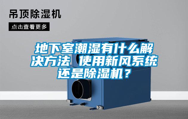 地下室潮濕有什么解決方法 使用新風(fēng)系統還是除濕機？
