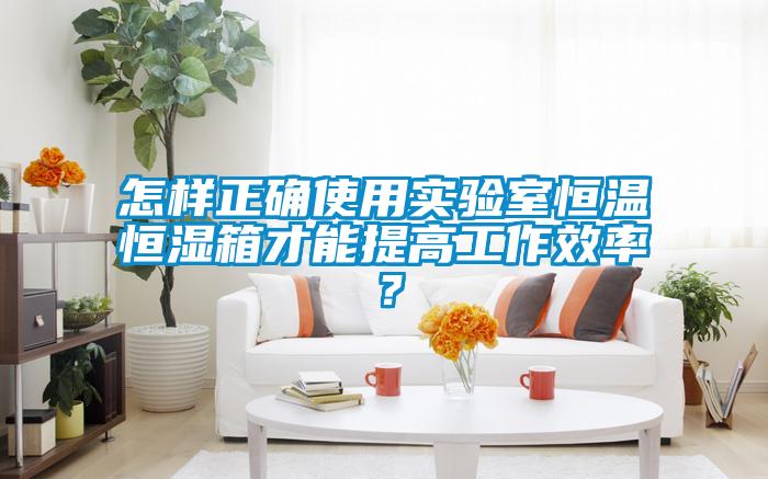 怎樣正確使用實(shí)驗室恒溫恒濕箱才能提高工作效率？