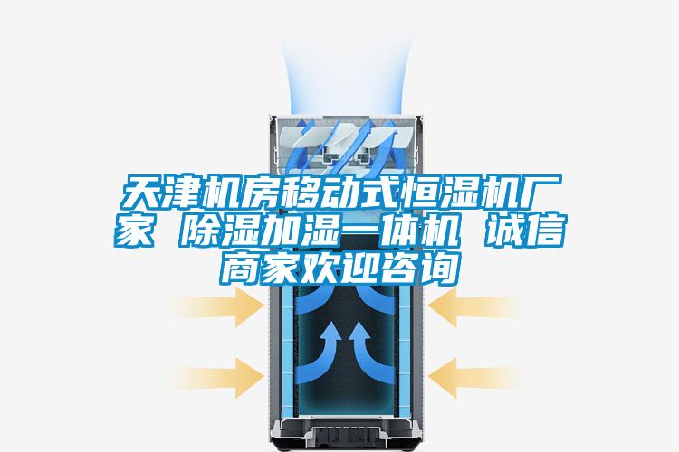 天津機房移動(dòng)式恒濕機廠(chǎng)家 除濕加濕一體機 誠信商家歡迎咨詢(xún)