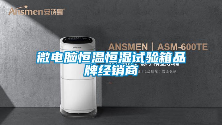微電腦恒溫恒濕試驗箱品牌經(jīng)銷(xiāo)商