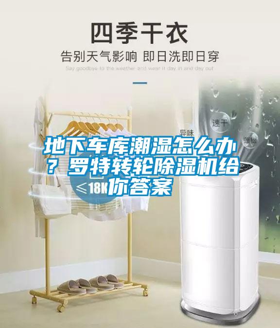 地下車(chē)庫潮濕怎么辦？羅特轉輪除濕機給你答案