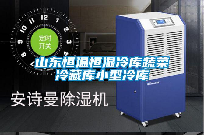 山東恒溫恒濕冷庫蔬菜冷藏庫小型冷庫