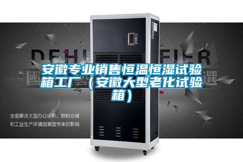 安徽專(zhuān)業(yè)銷(xiāo)售恒溫恒濕試驗箱工廠(chǎng)（安徽大型老化試驗箱）