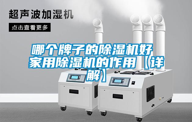 哪個(gè)牌子的除濕機好 家用除濕機的作用【詳解】