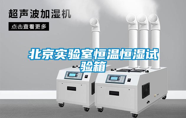 北京實(shí)驗室恒溫恒濕試驗箱