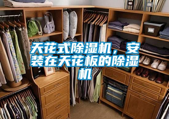 天花式除濕機，安裝在天花板的除濕機