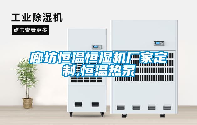 廊坊恒溫恒濕機廠(chǎng)家定制,恒溫熱泵