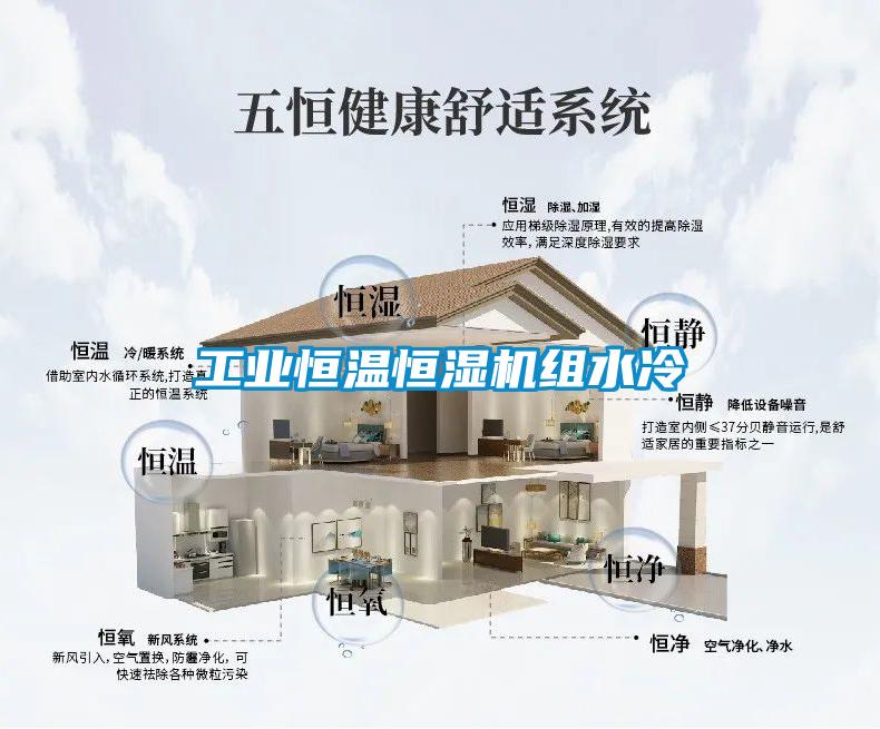 工業(yè)恒溫恒濕機組水冷