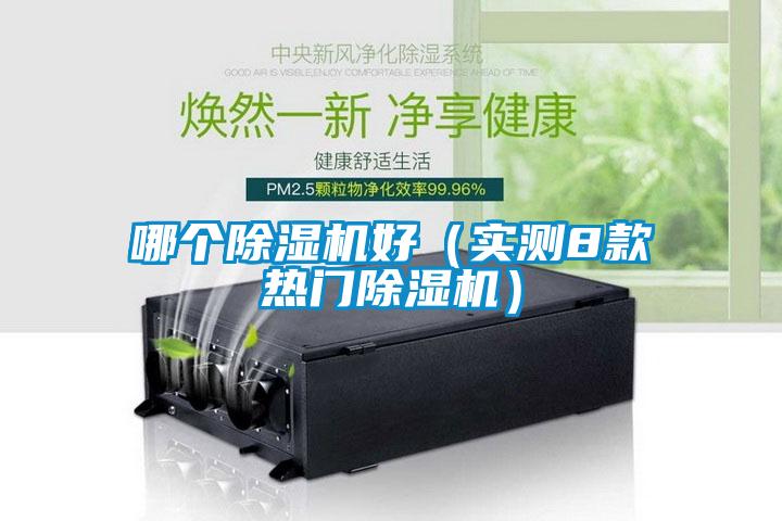 哪個(gè)除濕機好（實(shí)測8款熱門(mén)除濕機）