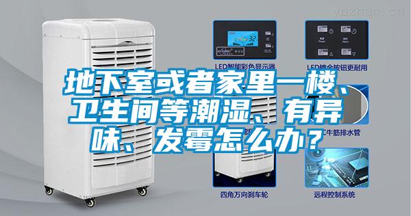 地下室或者家里一樓、衛生間等潮濕、有異味、發(fā)霉怎么辦？