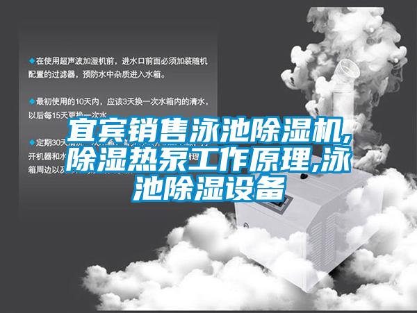 宜賓銷(xiāo)售泳池除濕機,除濕熱泵工作原理,泳池除濕設備