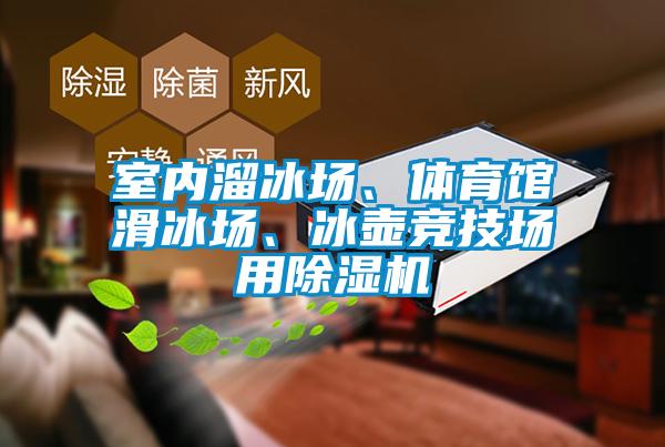 室內溜冰場(chǎng)、體育館滑冰場(chǎng)、冰壺競技場(chǎng)用除濕機
