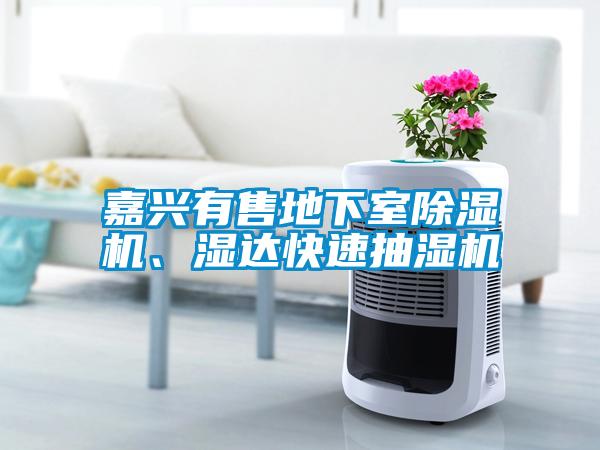 嘉興有售地下室除濕機、濕達快速抽濕機