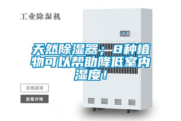 天然除濕器；8種植物可以幫助降低室內濕度！