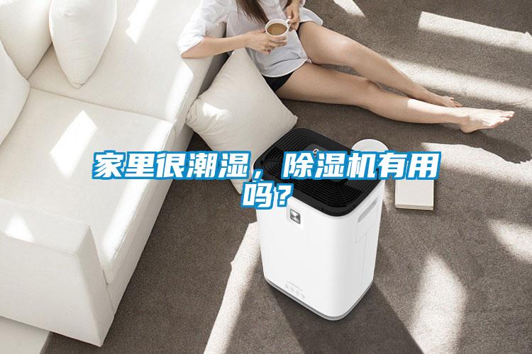 家里很潮濕，除濕機有用嗎？