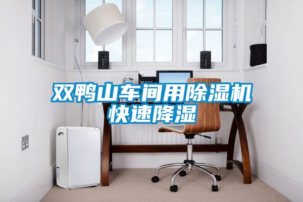 雙鴨山車(chē)間用除濕機快速降濕