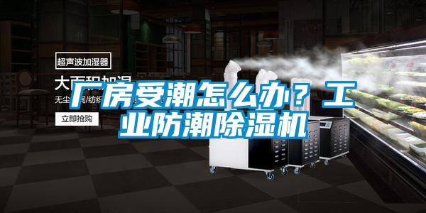 廠(chǎng)房受潮怎么辦？工業(yè)防潮除濕機