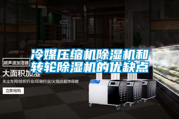 冷媒壓縮機除濕機和轉輪除濕機的優(yōu)缺點(diǎn)