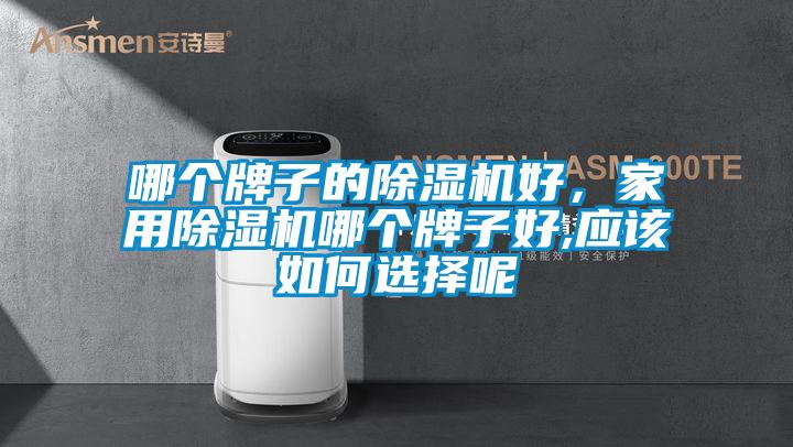 哪個(gè)牌子的除濕機好，家用除濕機哪個(gè)牌子好,應該如何選擇呢