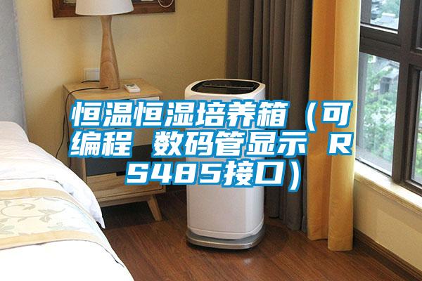 恒溫恒濕培養箱（可編程 數碼管顯示 RS485接口）