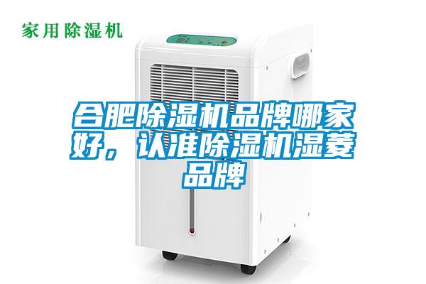 合肥除濕機品牌哪家好，認準除濕機濕菱品牌