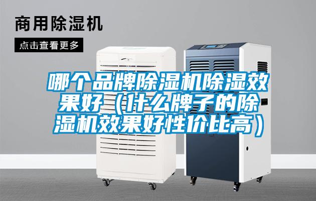 哪個(gè)品牌除濕機除濕效果好（什么牌子的除濕機效果好性?xún)r(jià)比高）