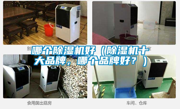 哪個(gè)除濕機好（除濕機十大品牌，哪個(gè)品牌好？）