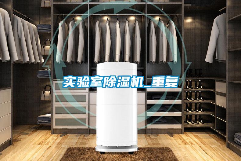實(shí)驗室除濕機_重復