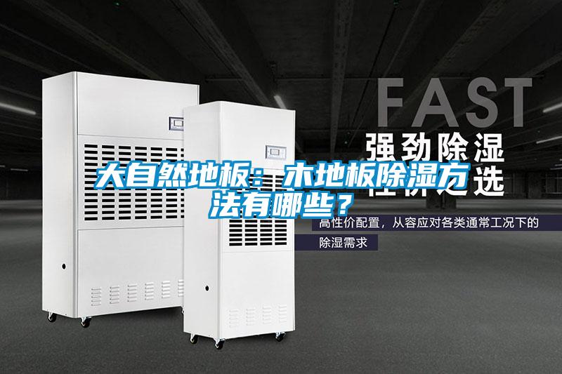 大自然地板：木地板除濕方法有哪些？
