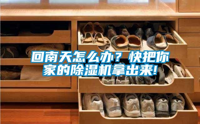 回南天怎么辦？快把你家的除濕機拿出來(lái)!