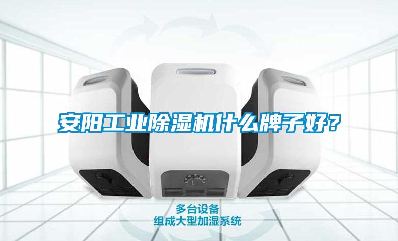 安陽(yáng)工業(yè)除濕機什么牌子好？