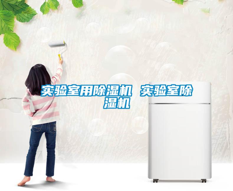 實(shí)驗室用除濕機 實(shí)驗室除濕機